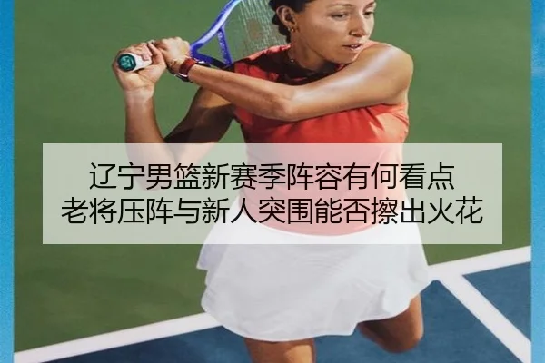 辽宁男篮新赛季阵容有何看点 老将压阵与新人突围能否擦出火花